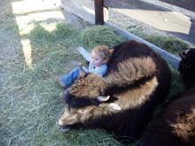 Picture of Madison laying with a yak